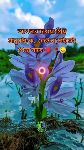 আপনার চাওয়া প্রিয় মানুষটাকে,, কেউ না চাইতেই পেয়ে যাবে 💔🥀😔#farukislamhridoy #jaddah_saudi_arabia🇸🇦🇸🇦🇸🇦 #সাপোর্ট_করলে_সাপোর্ট_পাবে #কষ্ট #প্রবাসীদের 