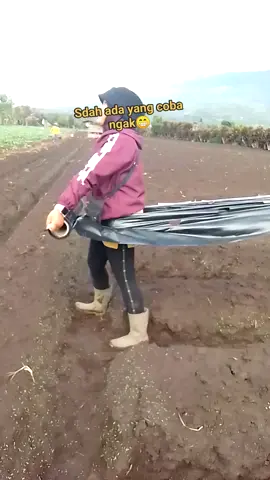 PETANI MUDA SAMPAI TUA #petani 