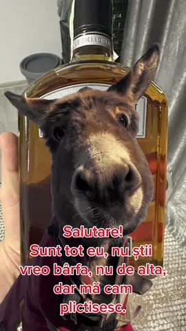 #Meme #MemeCut #fyppp @ionut.min 