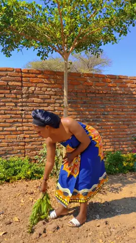 @🦋Miss.✨Mikaze0198💫🦋 #malawi🇲🇼southafrica🇿🇦 #zambiantiktok🇿🇲 #foryoupage #chloe #southafricatiktok🇿🇦 