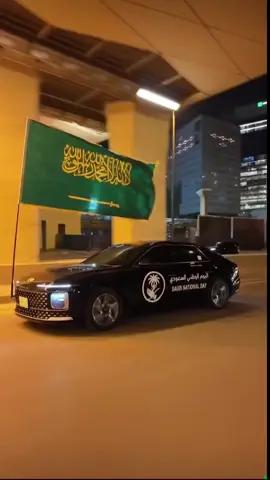 كل عام والسعودية وحكامها وشعبها بألف خير  🇸🇦💚والله يديم الأمن والأمان #اليوم_الوطني_السعودي_٩٥  #اليوم_الوطني 
