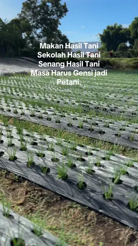 #promoseruweekend #petaniindonesia🇮🇩🇮🇩🇮🇩🌿 #petanimilenial 