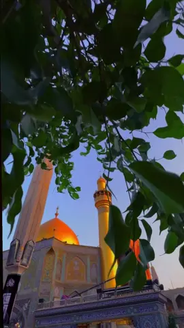 وصايا الإمام علي عليه السلام... اللهم صل على محمد وآل محمد  #علي_بن_أبي_طالب (ع) #نجف_الاشرف   #ياعلي🗣  #tiktok#fyp 