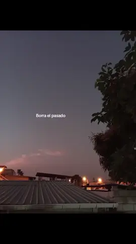 Solo Ámame  #vallenato #amor #viral #fyp #colombia 