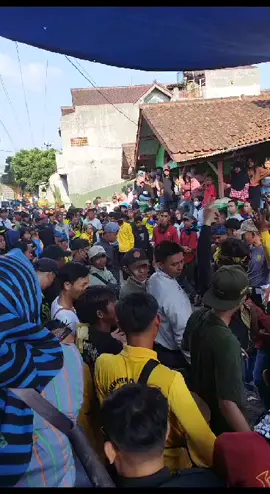 pas di reakeun khitanan moh. alshad #senisunda #kudarenggong #kudalumping #senireak #reak 