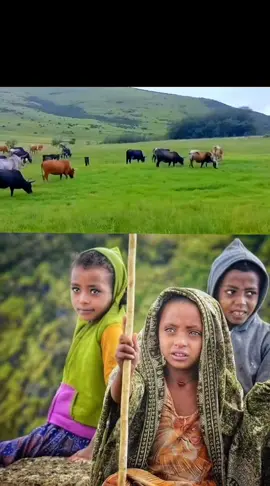 @ኣጽበታይ 🚸 💚🥺