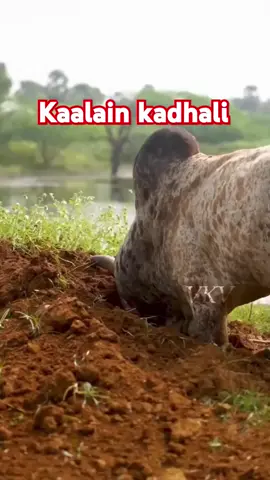 🤓🤓🤓🤓🤓🤓🤓🤓🤓