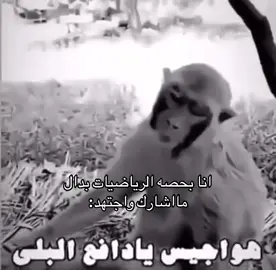 صددق