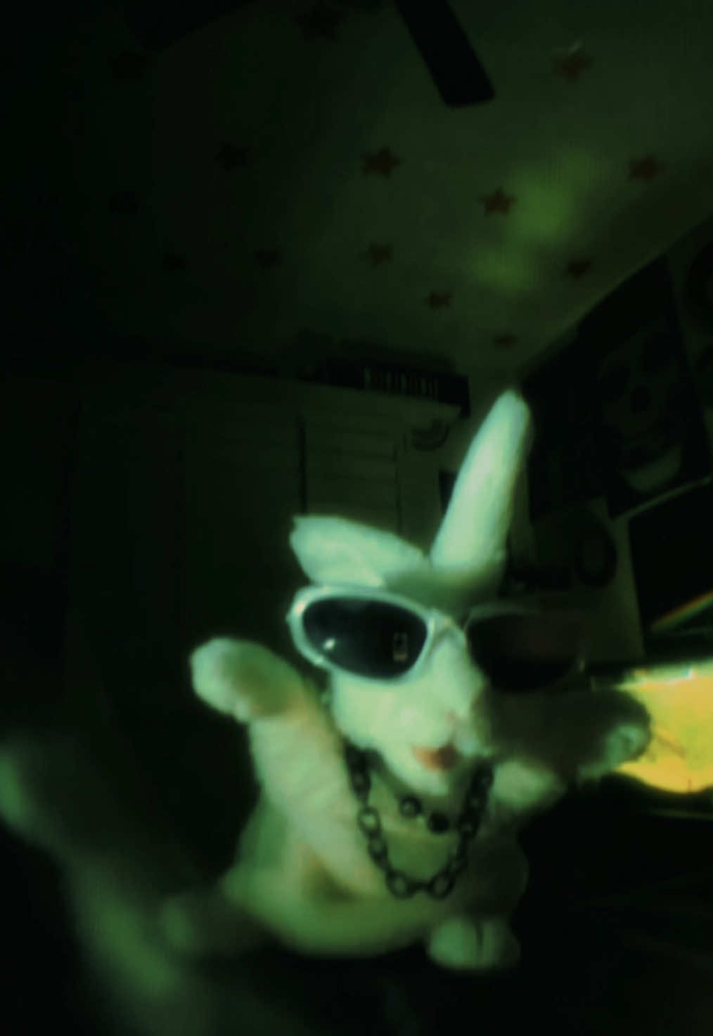 nasty dog - sir mix-a-lot  ★ kitty cat kitty cat run run runnnn 🐇  ★ #sirmixalot #sirmixalotnastydog #nastydog #fyp #bunny 