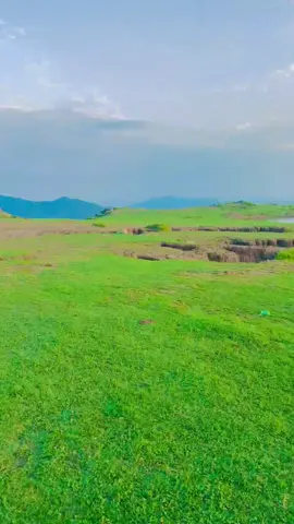 Hasii patona badmahi ki #foryou #fypシ゚ #💪🏻🔥 #viriltiktokvideo👑✨ #foryoupage 