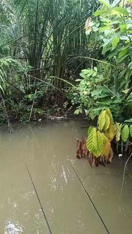 #tiktoklive #livehighlights