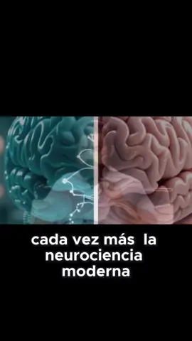 como funciona tu mente : Jacobo grimberg#desamor #jacobogrinberg #frasesmotivadoras #superacion #amorpropio 