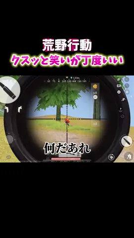 #荒野行動 #ねねちょす様 #クスッと笑いが丁度いい 