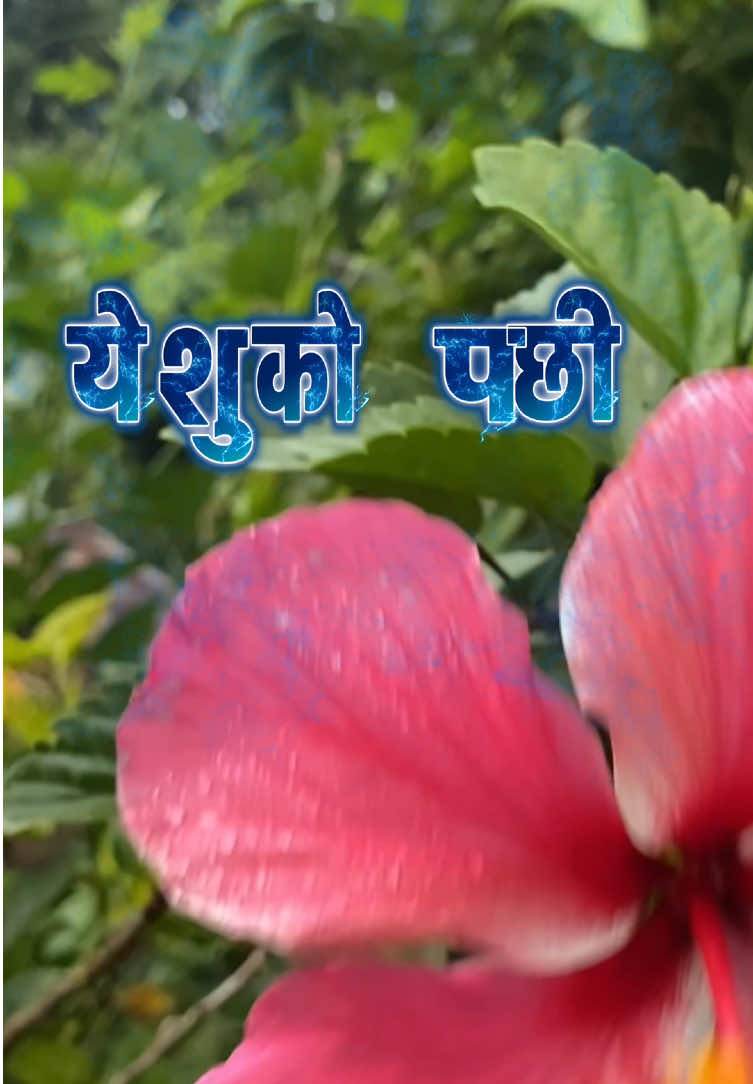 Nepali christian song#capcut #trending #new #foryou #song 