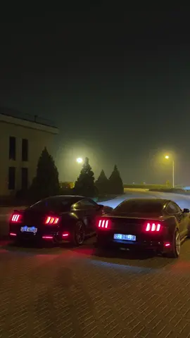 slemani , restless dreams. #mustang #بەرزایەکانی_سلێمانی #slemani #kurdistan 