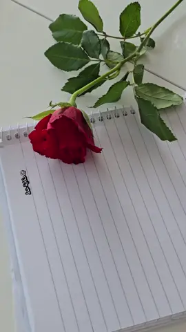 #حروف_بالحبر #تصويري #كتابة_بخطي #اقتباسات_عبارات_خواطر🖤🦋❤️ #