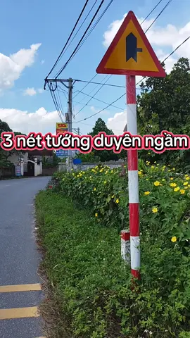 3 nét tướng duyên ngầm #tửvi #phongthuy #phongthuytamlinh 