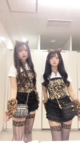 ヒョウ柄猫🖤 #おすすめ #fyp #fypシ #文化祭 #sjk 