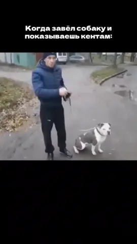 #пес #клитерчук #мопсик #ржака 