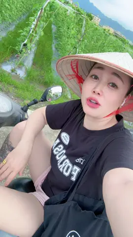 #TikTok夏日音樂節 