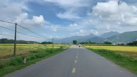 Đường tới Tam Đảo #tamdao 