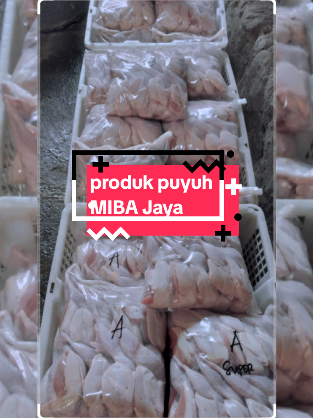 ready forever #puyuh  #mibajaya  #fyp  #foryoupage  #dagingpuyuh 