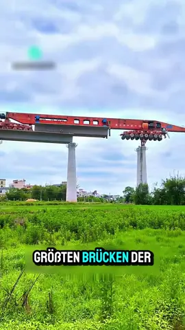 Diese Brücken sind verrückt