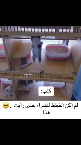 #❤️❤️❤️ 