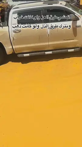 ##ودالملوك ##حفيدالكبابيش ##