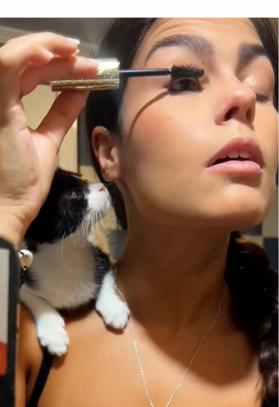 When your cat hates when you put makeup on#catsoftiktok #funnycats #fory #fyp 