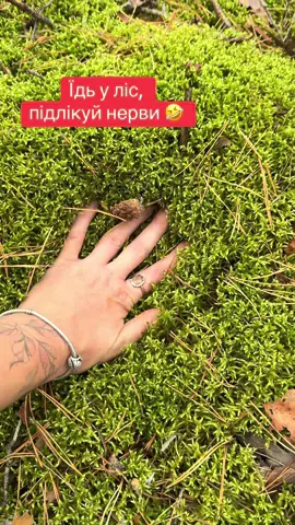 #грибиукраїни #гриби #гриби2025🍄 #ліс🌲 #ліс #життя #життявукраїні 