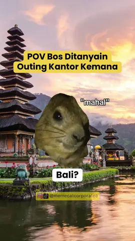 outing kantor tahun ini kemana, cing?😼 . . #corporatelife #catmeme #corporatehumor 