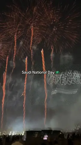 كل عام وحنا باول الصفوف#السعوديه🇸🇦💚 #السعوديه🇸🇦💚 #95 #يوم_وطني #السعودية 