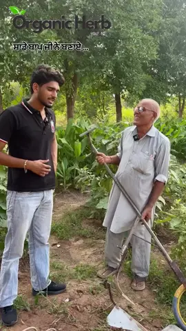 Small tool for vegetable farming #organicfarming #smalltools #vegtables #organicfarming #vegtablegarden 