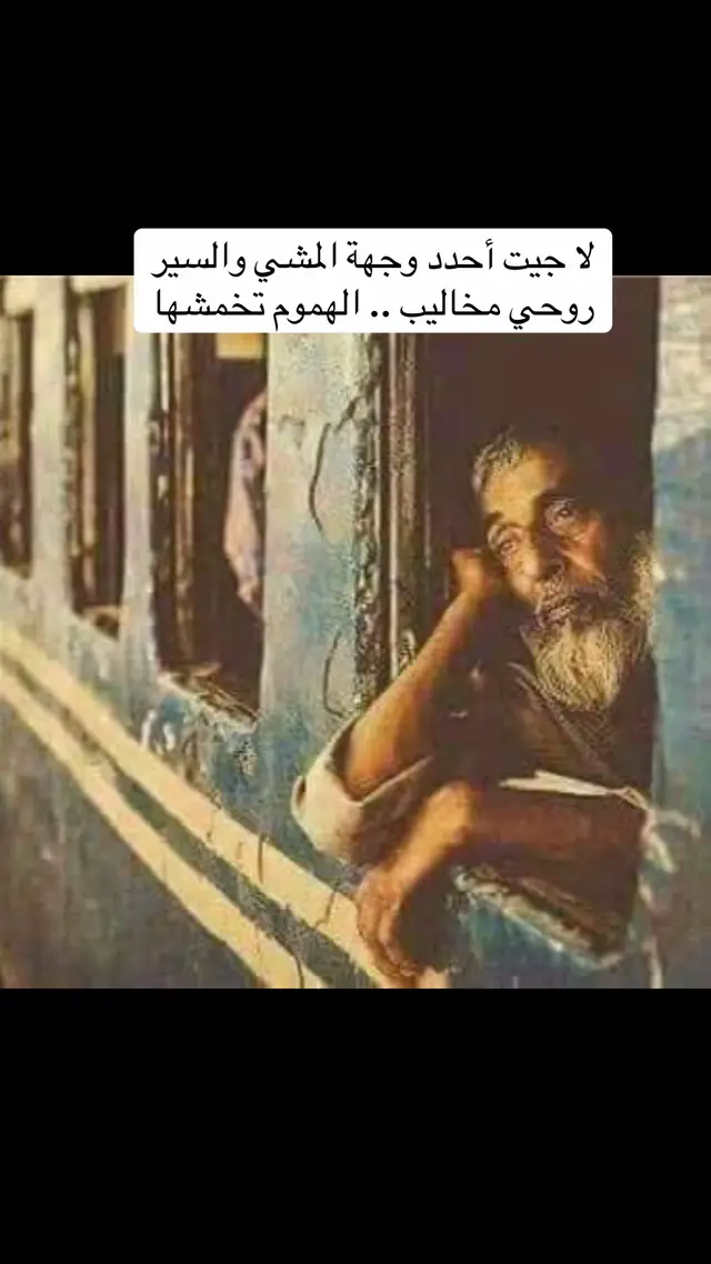 #قصايد #شعر #foryou #fyp #جزل 