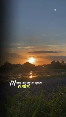 Ngẫm lại chuyện đời #nhachay #lyricsvideo #fyp #xuhuongtiktok #triinnhchiien 