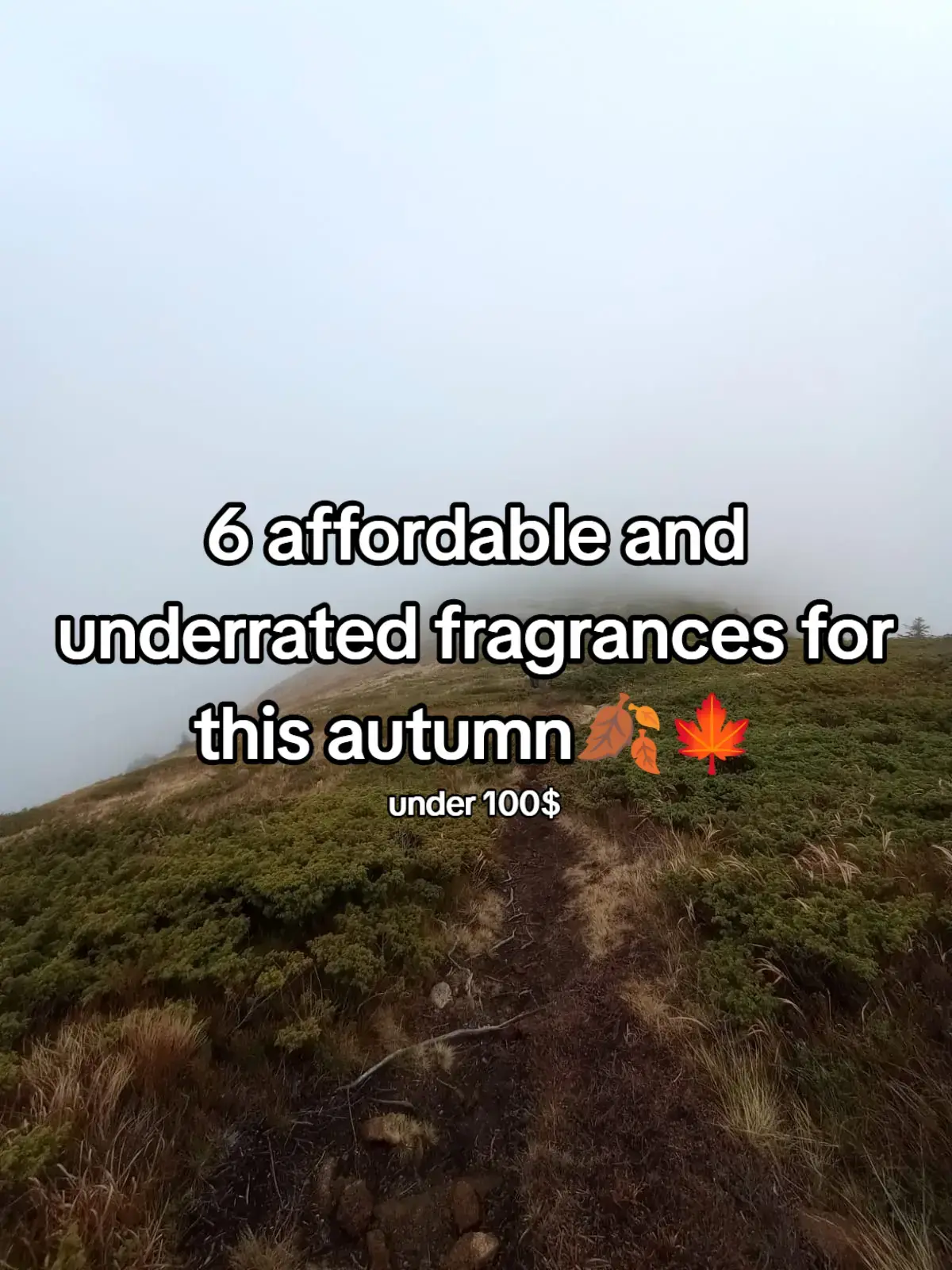 I dream of going back every night... #perfumes #fragrancetiktok #perfumetok #fyp #viral 