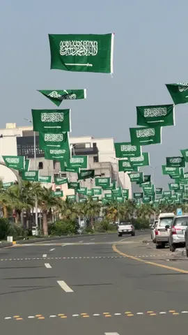 🇸🇦95th Saudi National Day  #saudiarabia #nationalday #ti̇ktok #abha #Love 