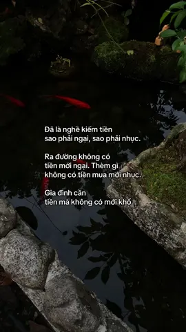 …#tamtrang #story 