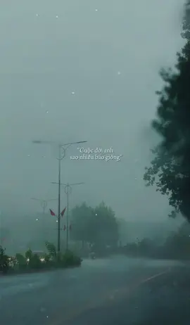 Cuộc đời anh sao nhiều bão giông#loayhoay#gabuon7793 #chuyenbuoncuaga 