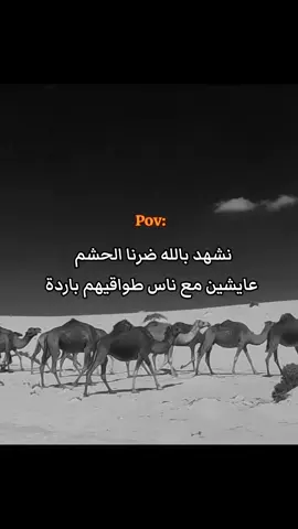لا شي يستحق الذكر 👋🏿  #الشعب_الصيني_ماله_حل😂😂 #اجدابيا_بنغازي_البيضاء_طبرق_ليبيا #ليبيا_طرابلس_مصراتة_بنغازي_اجدابيا 