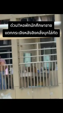 เหตุการณ์ระทึกลิงคลั่งบุกหอพักชาย  #สัตว์โลกผู้น่ารัก #สัตว์โลกอมตีน #ลิง #ชะนี #บุกหอพัก 