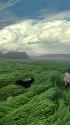 自分だけのチャンネルで、気ままに、自由に生きる。 #おすすめ #tiktokおすすめ #癒し動画 #風景動画 