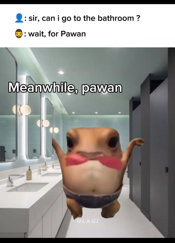 😂👍@H🪐  #2025 #trending  #frogmeme #atalpost #funnyvideo #sinhalaatalvideo #thekota #iro #template #vadan #mihiran #danaraja_ධනරාජා #whatsappstatusvideo 