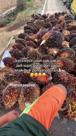 ehh kepencet🗿🤣#supirkecil #drivermuda #kurirsawit🌴🌴 