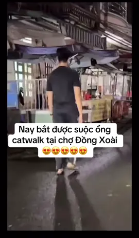 Dù có là catwalk ở đâu thì đều choáy hết nhé đc Lê Hoàng Hiệp #lehoanghiep #y #xuhuong #viral 