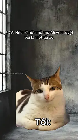 Tôi tự thú #kozyfashion #memes 