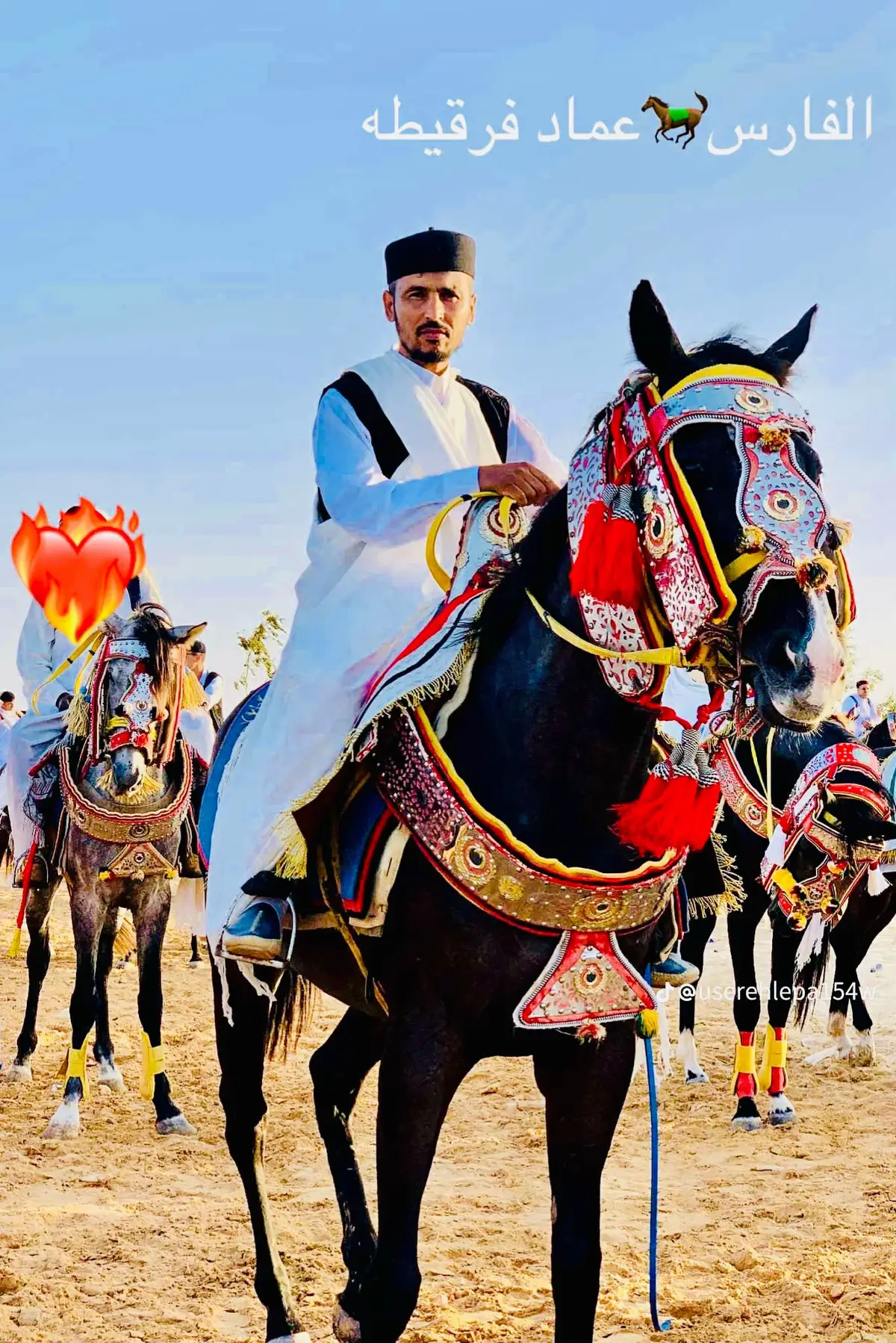 #فرسان #العجيلات 