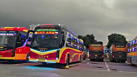Nghe nói ông lớn 82 mới lấy 1 lô KIA GRAND BIRD🔥#tananhlimousine #xekhachvietnam #nhatnoble 