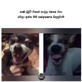 😂😂